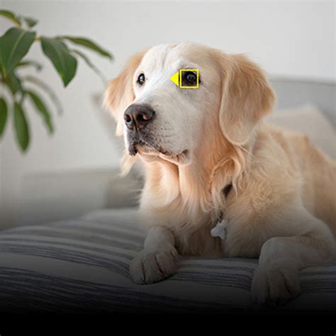 FIRMWARE | Nikon India