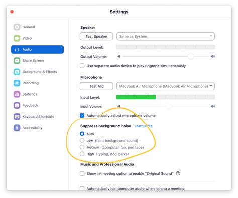 How to reduce background noise during video calls?