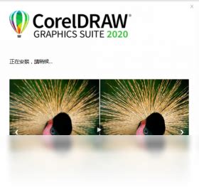 CorelDraw图片预览_绿色资源网