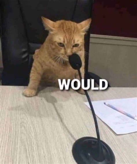 Alien 1979 All Trailers 的图像结果