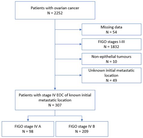 A Suggested Modification to FIGO Stage IV Epithelial Ovarian Cancer