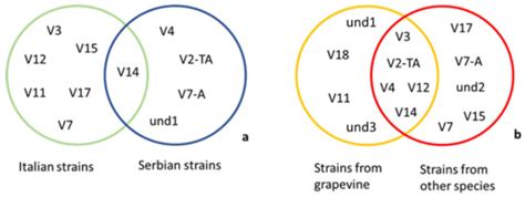 Molecular Variability and Host Distribution of ‘Candidatus Phytoplasma ...