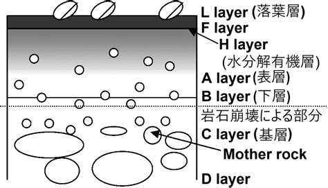 Clay Pot Paint Tutorial 的图像结果