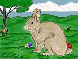 Image result for How to Draw a Realistic Rabbit