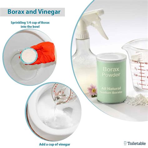 Toilet Bowl Ring Guide (Causes & Solutions) 2024