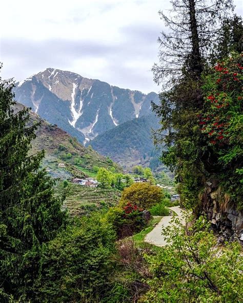 RAJGUNDHA - FEEL THE NATURE (Barot) - Campground Reviews & Photos ...