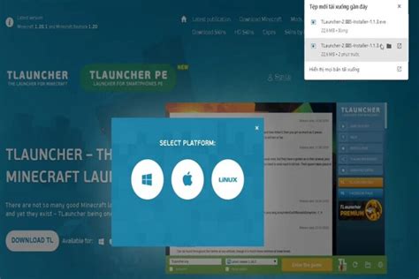 T Launcher Tutorial 的图像结果