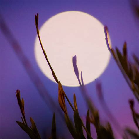 Luna hoy: calendario lunar del 9 al 15 de septiembre