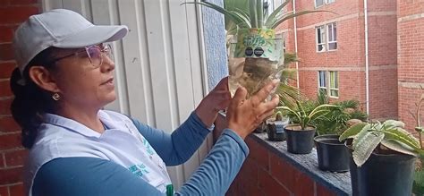 Neiva continúa intensificando acciones para erradicar el dengue - TSM ...