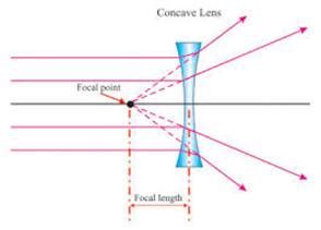 Copy and complete the diagram below to show what happens to the rays of ...