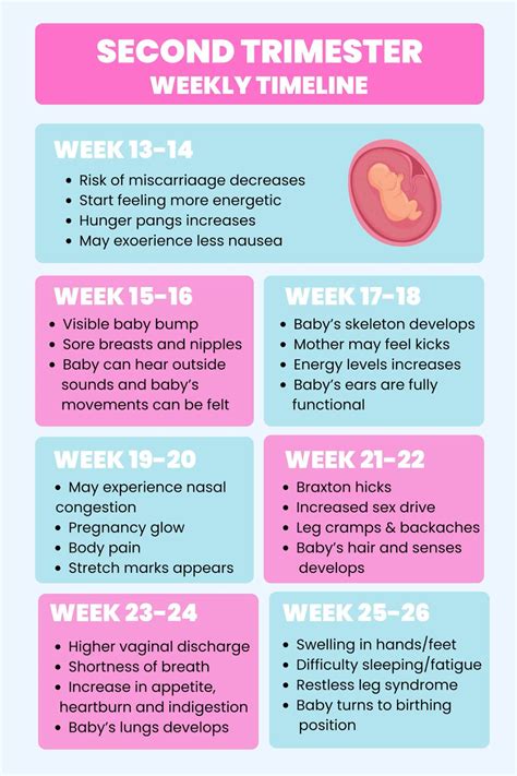 How to calculate pregnancy weeks to months in 2 easy ways – Artofit