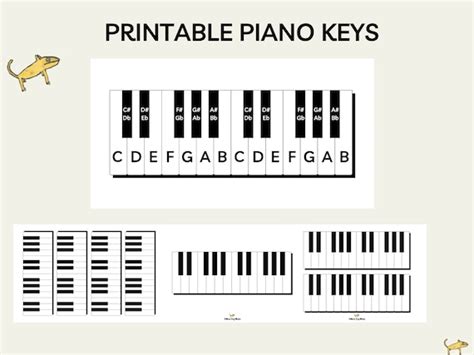 Image result for Musical Keyboard Notes