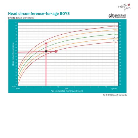 Growth and Development Chart 的图像结果