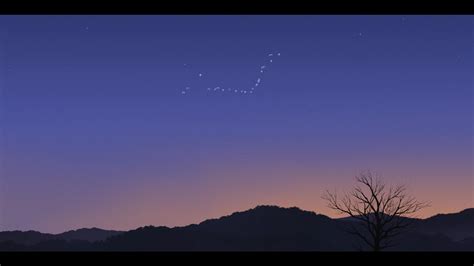 Image result for Look Back 2024