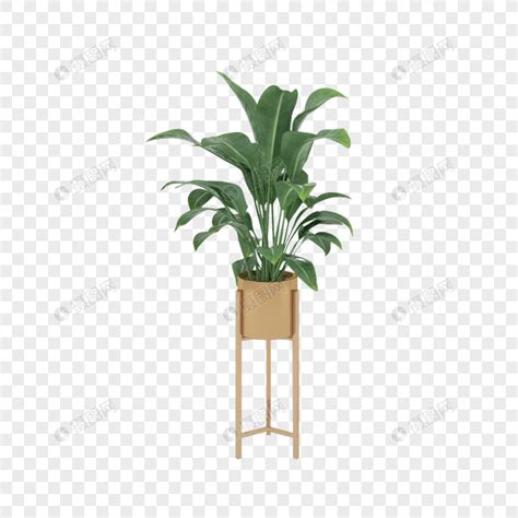 盆栽PNG、绿色植物PNG