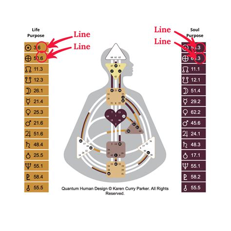 Rezultat imagine pentru What Is Human Design Chart