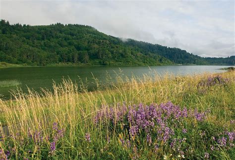 Weather In Orick California In June at Justin Wells blog