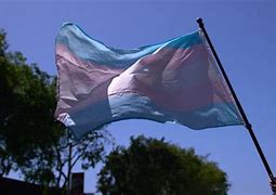 Image result for Transgender adults blindsided in Florida