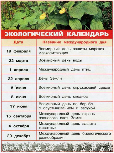 Что такое экологический календарь 4 класс
