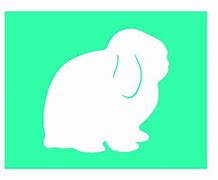 Image result for Holland Lop Animal