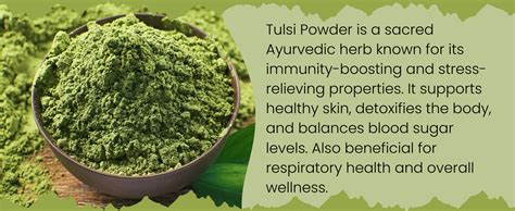 Bhumi Organic Tulsi Leaves Powder (300g) – Holy Basil for Immunity ...