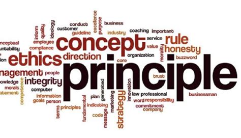 Image result for Principle Examples