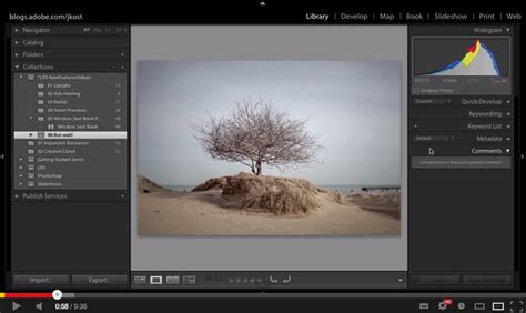 Lightroom Tutorials Free 的图像结果