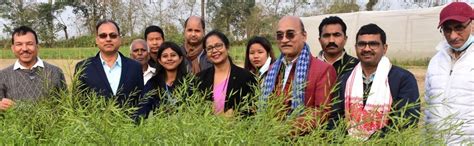 RMKP!-Rapeseed-Mustard Knowledge Management Portal, Assam