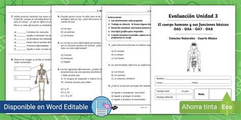 Evaluación: 4° Básico - Ciencias Naturales Unidad 3
