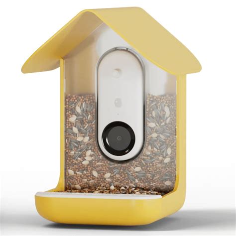 Bird Buddy smart bird feeder review: Amateur ornithology at its cutest