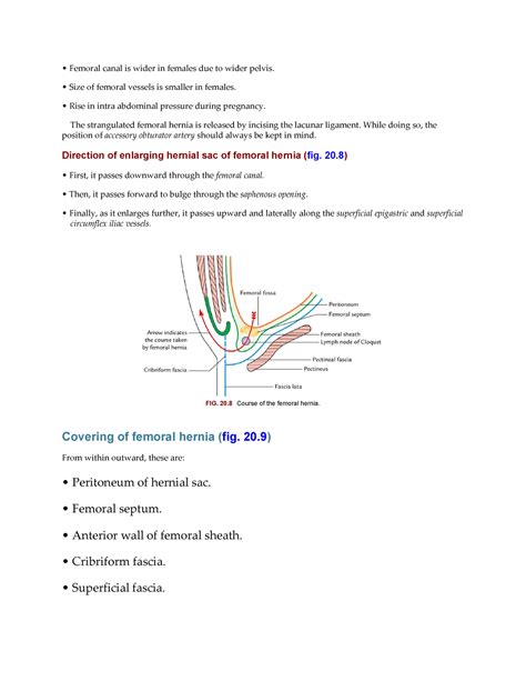 Selective Anatomy Vol 2-44 - Femoral canal is wider in females due to ...