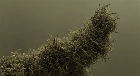 How Do Nitrogen Oxides (NOx) and Sulfur Dioxide (SO2) Primarily Contribute to Environmental ...