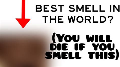 BestSmelling