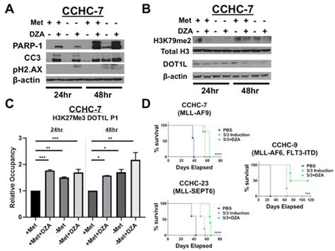 Cells | Special Issue : Hematopoiesis and Stem Cells