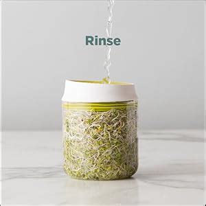 Buy SHOPVILLA Multi Use Sprouts Maker Box - Countertop Sprouter Growing ...