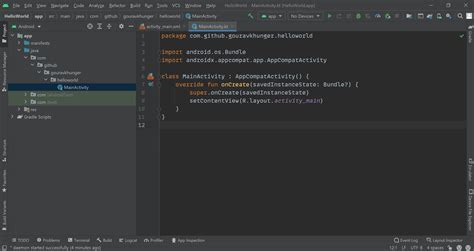 Android Studio Make App 的图像结果