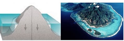 मूंगा चट्टानें और मूंगा चट्टानें विरंजन (Coral Reefs & Coral Reefs ...