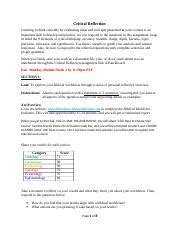 Critical Reflection Assignment 的图像结果