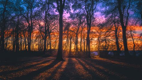 List of 533 Names Meaning Shadow - Richmond Mom