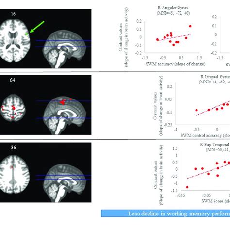 Image result for Spatial Memory Tasks