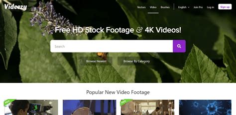 Videezy 高畫質短片素材網站，個人和商業皆可使用免費下載 - 逍遙の窩