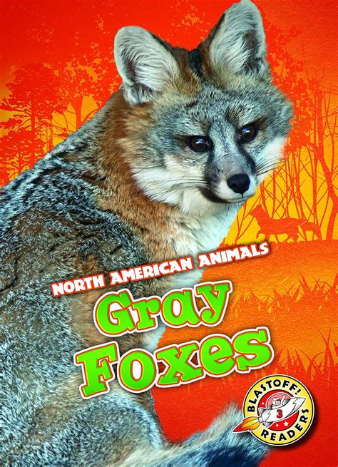 Gray Foxes (Blastoff! Readers, Level 3: North American Animals ...