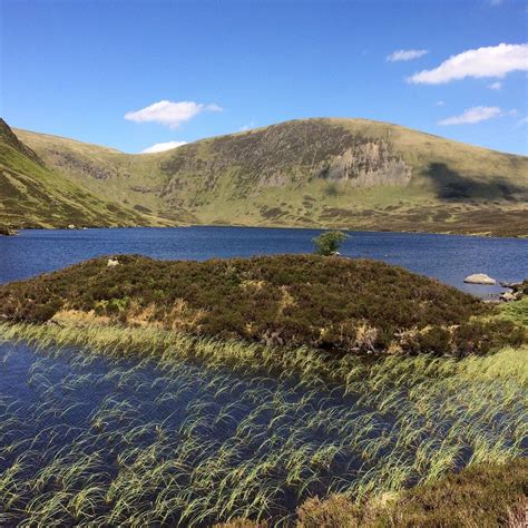 GREY MARE'S TAIL (2026) All You Need to Know BEFORE You Go (with Photos ...