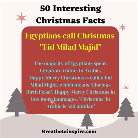 50 Christmas Facts About History, Fun Holiday Traditions All Around The ...