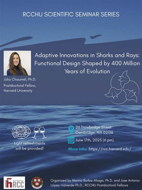 Adaptive Innovations in Sharks and Rays: Functional Design Shaped by ...