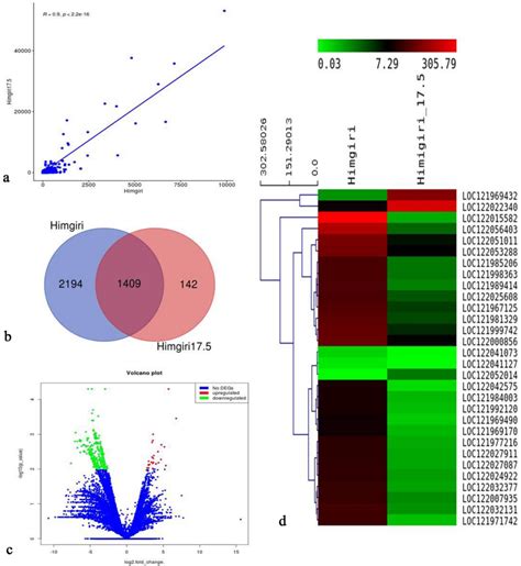 Transcriptome Plot 的图像结果
