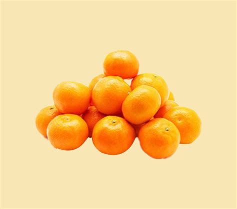 Grocery Online | Online Grocery Shopping in Delhi NCR | Frugivore