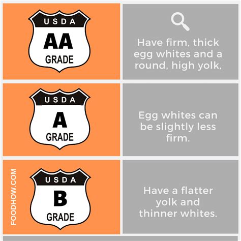 Which Eggs Are The Healthiest – Buying And Cooking Guide