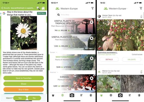 Edible Plant Identification App 的图像结果