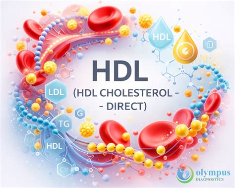 HDL CHOLESTEROL - DIRECT | Olympus Diagnostics Bangalore